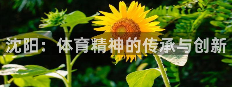 沈阳：体育精神的传承与创新