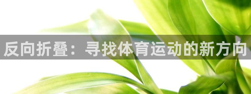 反向折叠：寻找体育运动的新方向
